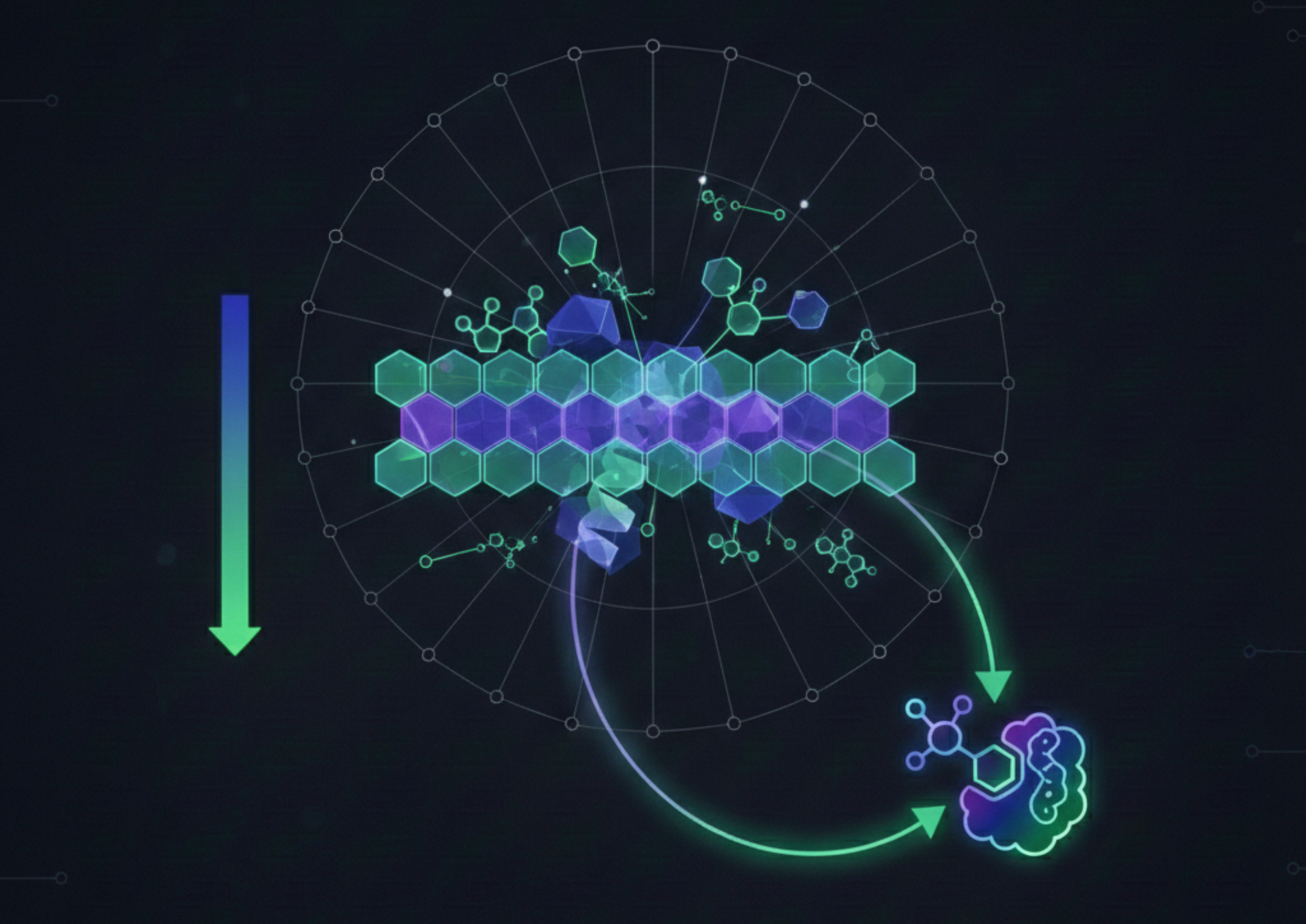 Case Study 02 visual